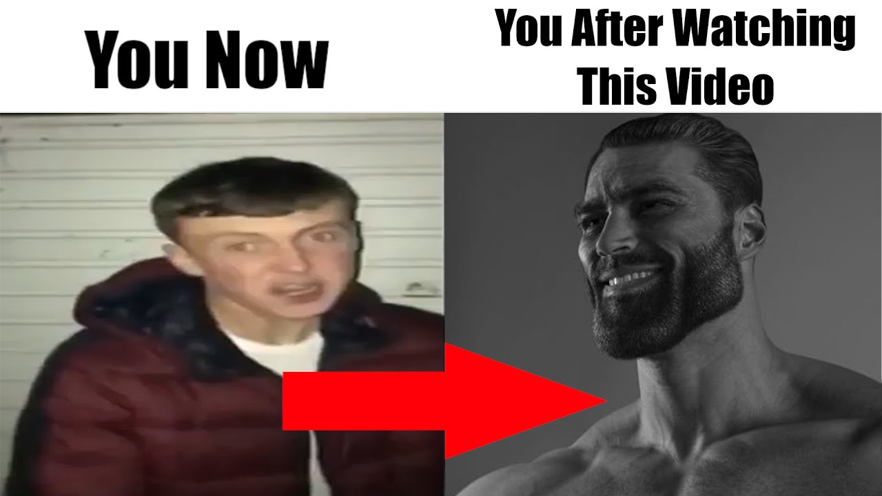 How to Use the Loadout and Loadout Optimizer Functions on DIM (Destiny Item Manager)