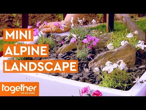 Create Your Own Mini Alpine Inspired Landscape | The Great British Garden Revival