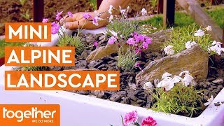 Create Your Own Mini Alpine Inspired Landscape | The Great British Garden Revival