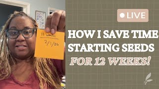 This Saves Me TIME & SANITY! | Seed Starting Hack
