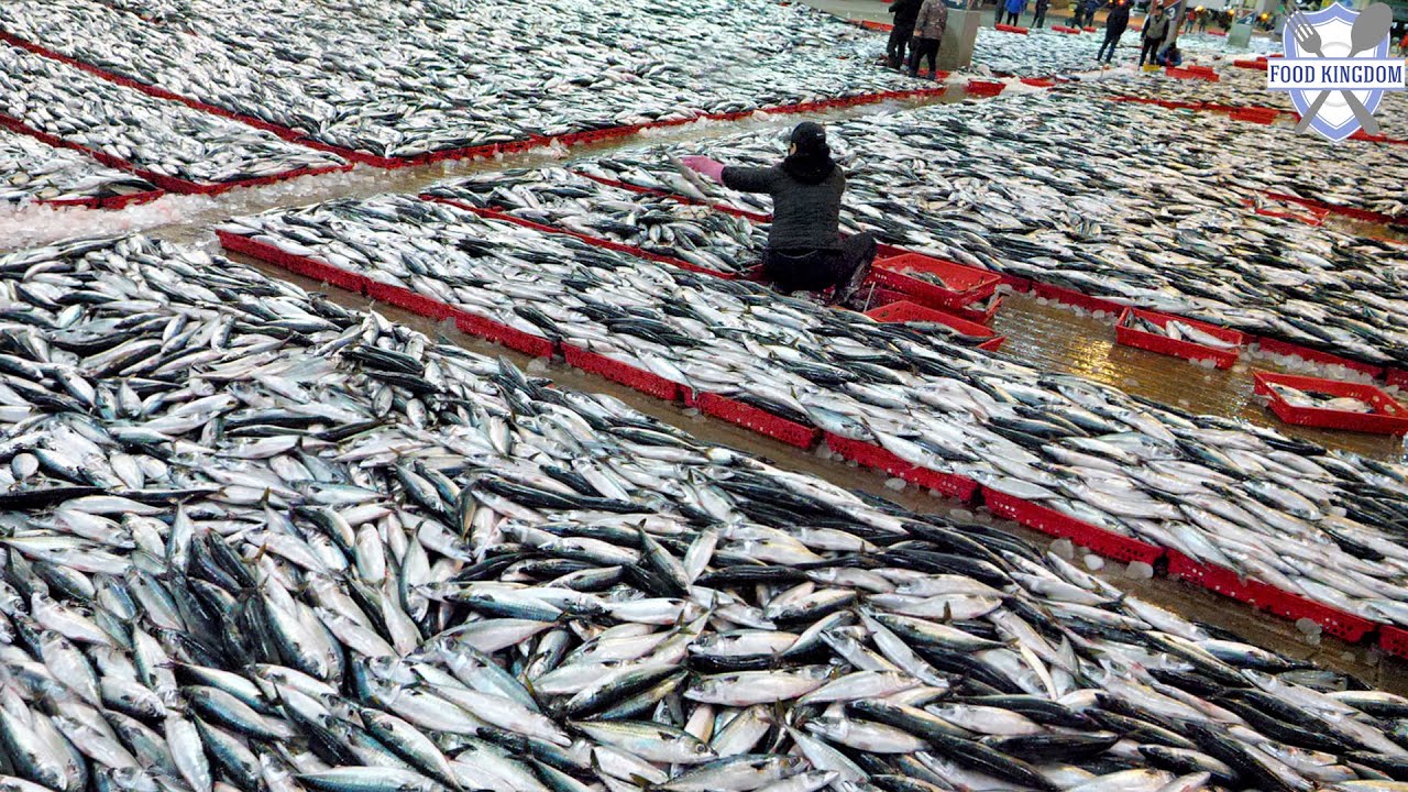 Amazing! Korean largest fish market and boneless mackerel mass production / Korean fish factory