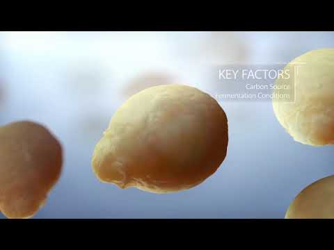 Alltechova rješenja za upravljenje mikotoksinima