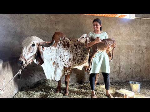 Hamari abha ka baby aa gya hai raat ko 