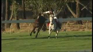 Modello Capture - Pinjarra April 15