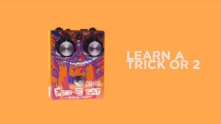 Video thumbnail for Paradox Effects | Fuzz-E Cat Learn A Trick or 2 by Paradox Effects