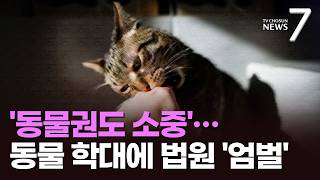 '늑구'가 일깨운 생명권…'훈육' 빙자한 동물 학대에 법원 잇단 '엄벌' [뉴스7]