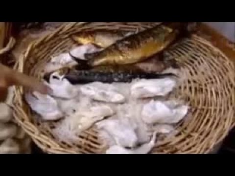 Essen im Mittelalter - Welt der Wunder