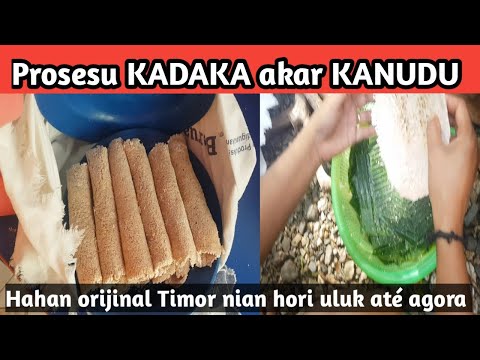 Oinsa atu kadaka akar KANUDU?