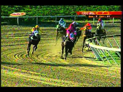 Resumen Sábado, 24 de Enero de 2015 - La Rinconada