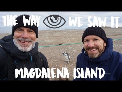 The Penguins of Isla Magdalena