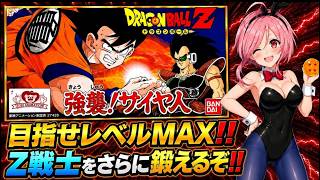 【FC ドラゴンボールZ 強襲サイヤ人】もっと…もっと…Ｚ戦士たちに力を…今夜もレベルＭＡＸにするため雑魚敵を根絶やしていくぞ🌟【バンダイ ファミコン 無言棒読み配信】