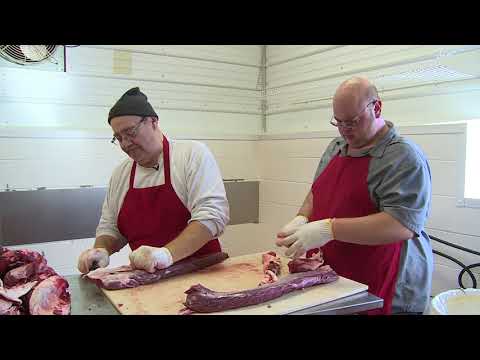 How to Properly Skin and Cut Up a Deer