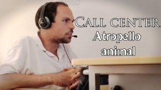 ATROPELLO ANIMAL./CALL CENTER. Nos llamaron locos. 02x01
