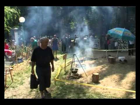 Dani Brestovačke banje 2013