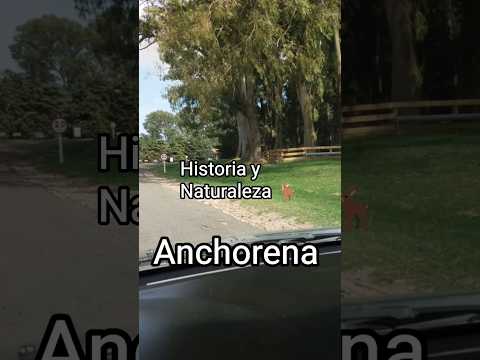 🌿 Parque Anchorena | Naturaleza e Historia en Uruguay 🇺🇾
