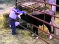 AFV Americas Funniest Home Videos Episode 01 Season 18 Part 1