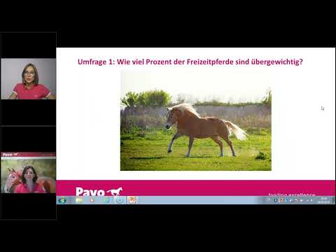 Pavo Webinar: Gewichtsabnahme bei dicken Pferden