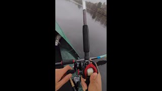 How to Fish (with No Experience)