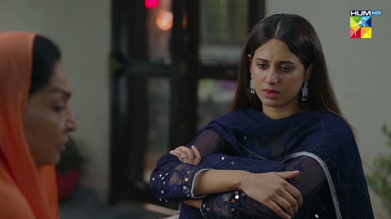 Mein Us Zarar Se Apni Izzat Ki Beekh Nahi Mang Sakti | #nabeelzuberi #minsamalik #Hadd #HUMTV