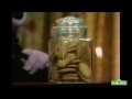 Sesame Street The Disappearing Cookies With Amazing Mumford