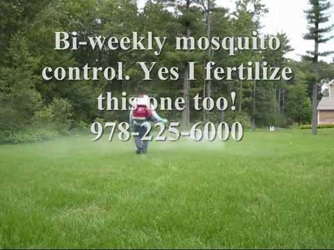 Tick spraying Wenham MA 01984, Mosquito Spraying Wenham MA 01984