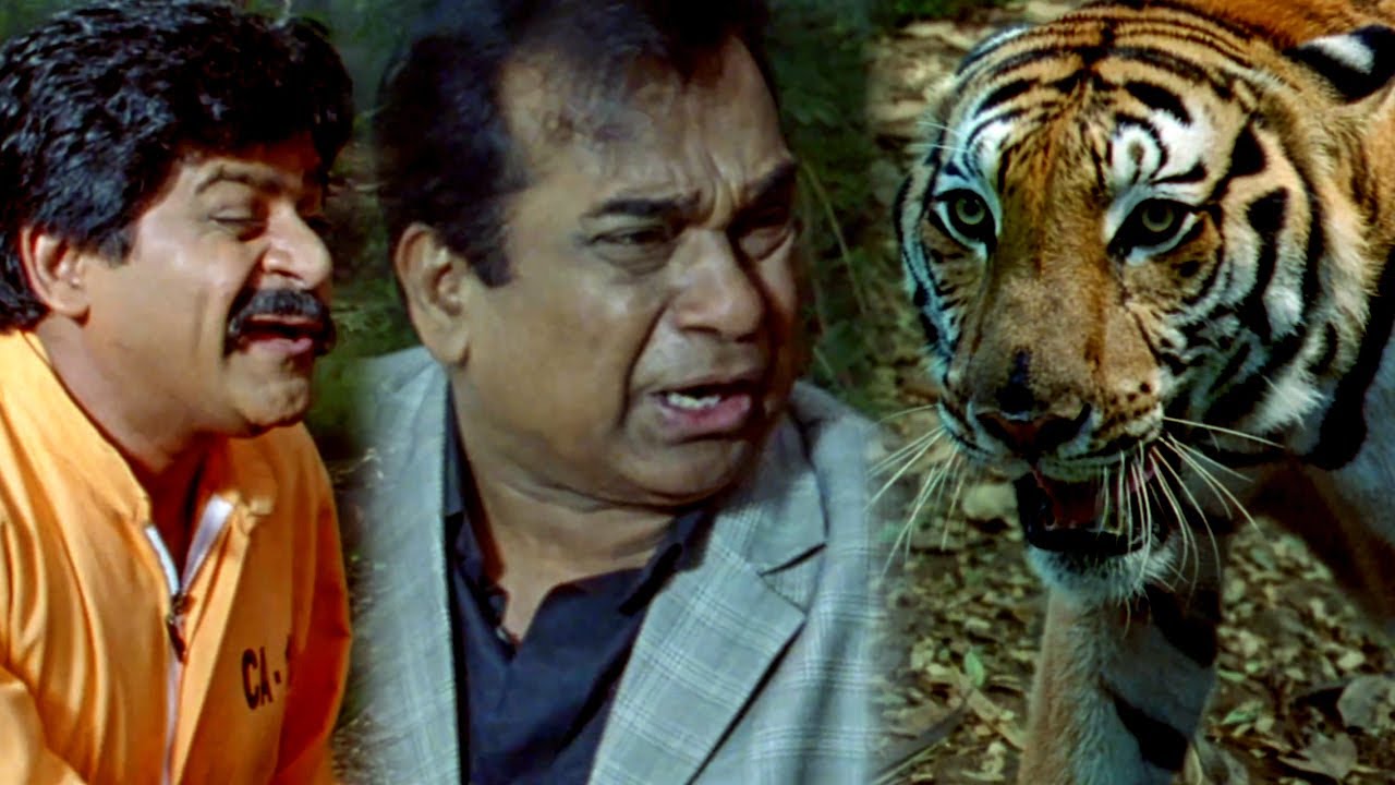 ब्रह्मानंदम और अली को जंगल में शेर ने पकड़ा | Dhada Movie Best Scene