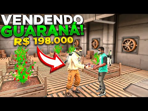 HOW TO MAKE A LOT OF MONEY SELLING GUARANÁ! RIO RISE