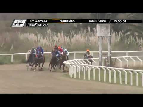 SINT COLONIA 230803 c06 - 1° LEO KING