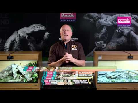 High UVB Reptile lamps by Arcadia Reptile. Explained and shown by Dr Mike Leahy.