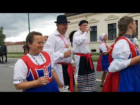 Bzenecké krojované vinobraní, Slavnostní průvod městem, 18. 9. 2021.