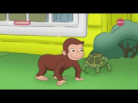 12x19 La nuova casa di George