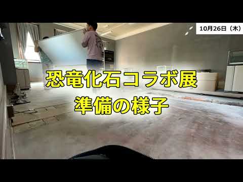 恐竜化石コラボ展