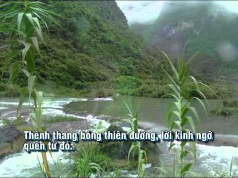 Hát từ bóng tối Sheet - Thanh Hoa