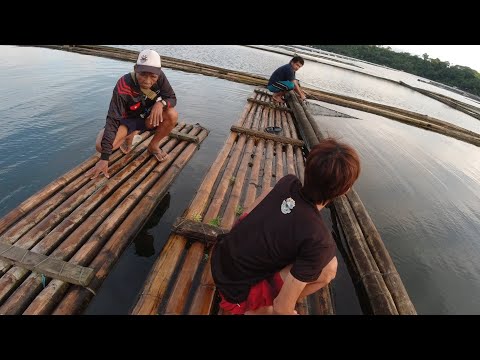 SE02EP122 Part 2 - Pag PANDAW at PAG AANGAT ng PATANGA sa GITNA ng SAMPALOC LAKE | San Pablo City La