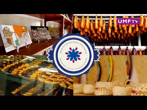 Vídeo promocional «Marca Misericórdia» 2014