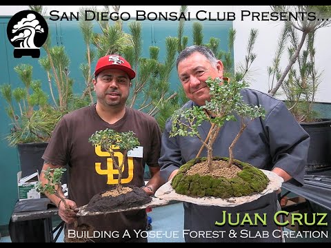 Juan Cruz - SDBC January 2026