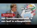 Pepijn van Houwelingen onthult het werkelijke doel achter het 'corona herstelfonds'