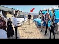 Tat S Epic Fury Over Shahram S Bizarre Demands At Mr Hassan S Farm