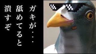 【APEX】キルレ0.49の武者修行