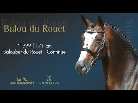Balou du Rouet - Springkollektion 2022 Schockemöhle & Helgstrand (DEU)