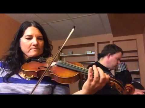 Day 288 - Back Forty Rip-Off - Patti Kusturok's 365 Days of Fiddle Tunes