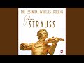 Artist's Life, Op. 316 - Various Artists - Topic Artist's Life, Op. 316