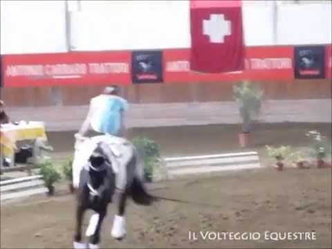 CVI Portogruaro 2016 - Volteggio - Ind 2* j F - 7° Sarah Gollubics