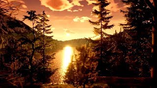 Reaching for Petals: VR Edition Steam Key GLOBAL