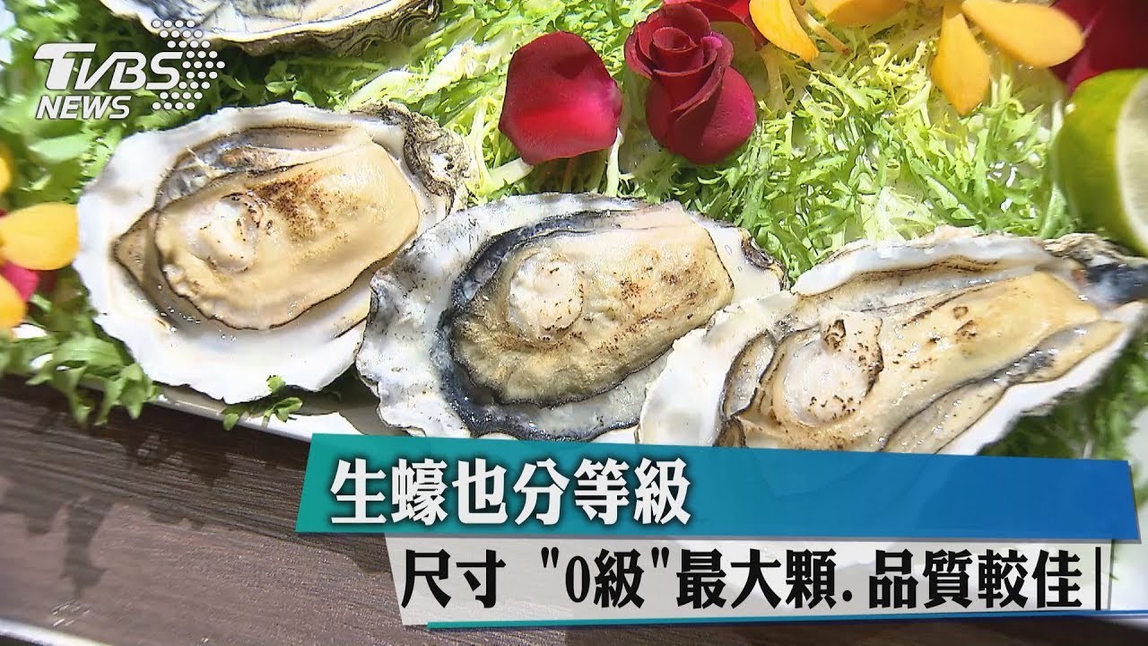 生蠔也分等級尺寸 0級最大顆品質較佳