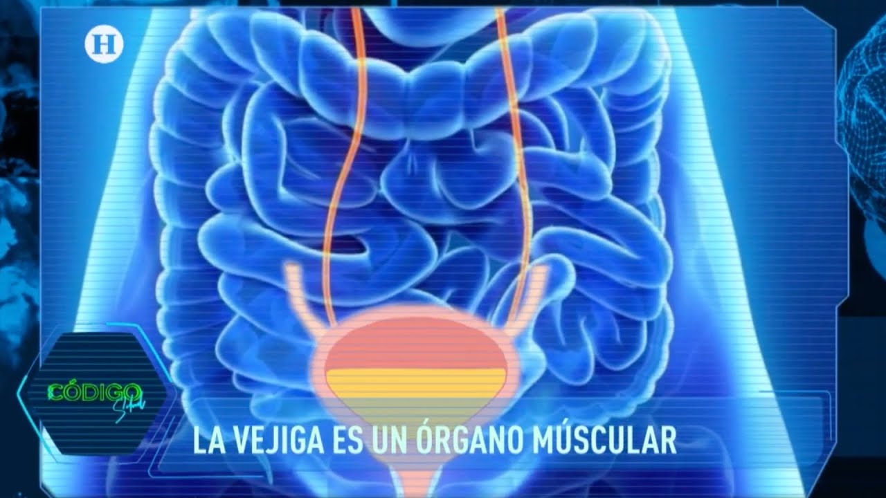 Juan Jesús Lucas Jiménez-13