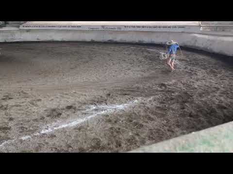 Manganas a pie 💥 tirón de la muerte ☠🔥