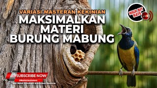 Download lagu 🔴 Live Cucak Cungkok Super Gacor Tembakan Kasar Kasar Full Tekanan Upgrade Materi Burung Mabung Anda mp3