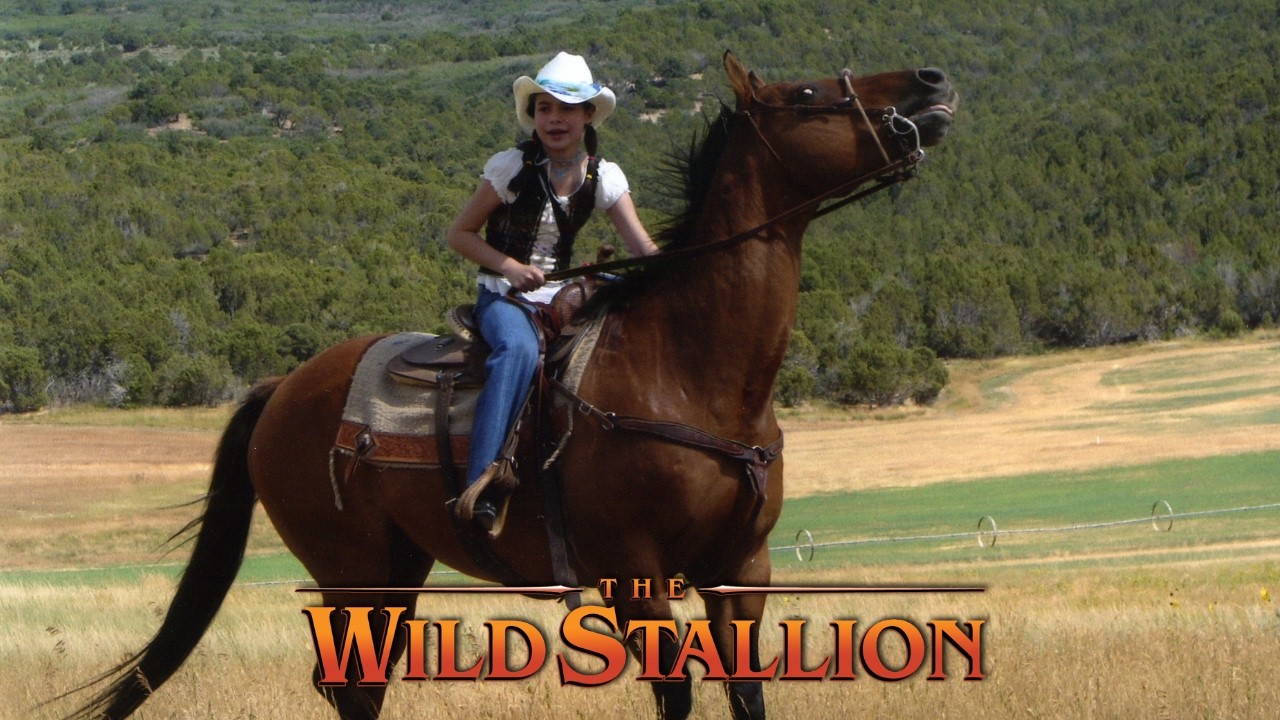 The Wild Stallion