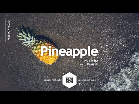 Pineapple [Feat. Kasikah] - Clesto | Royalty Free Music - No Copyright Music Video